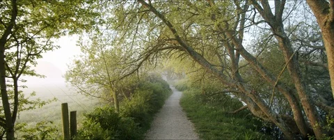 Walking Along Country Path in the Mist at Dawn Video stock 129251107