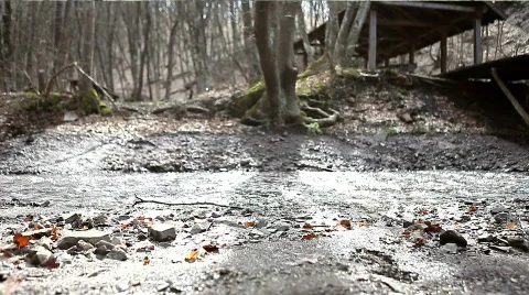 Walking along the creek Stock Footage 666457