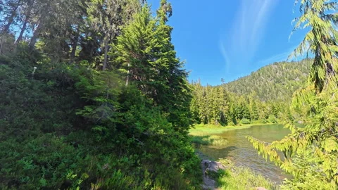 Walking Along Deer Lake Stock Footage 344779999