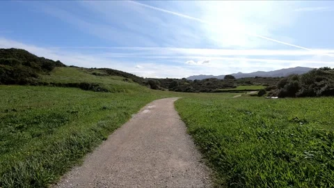 Walking along a dirt road between meadows Stock Footage 285950259