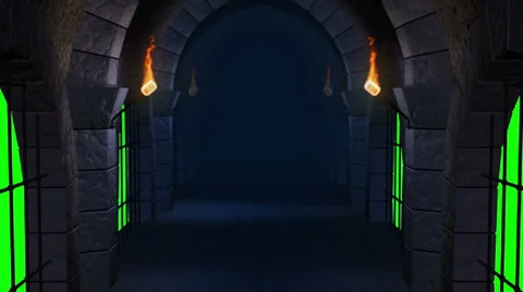 Walking along a dungeon (loop) Video stock 27388019