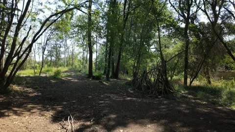 Walking along the edge of Barnack Forest Stock Footage 340286090
