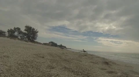 Walking along Florida Beach  (Beach Series Part 3) Video stock 18194115