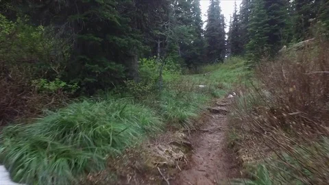 Walking along forested mountain hiking path and over snow cover Stock Footage 75448548