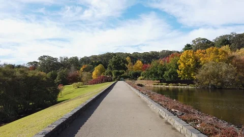 Walking along the garden Stock Footage 110884593