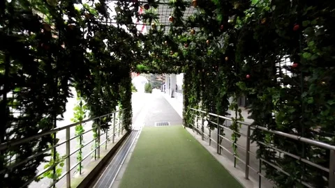 Walking along green Tokyo Tower alley and the tower entrance. Tokyo, Japan Stock Footage