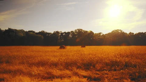 Walking along a highway in Texas Stock Footage 68503019