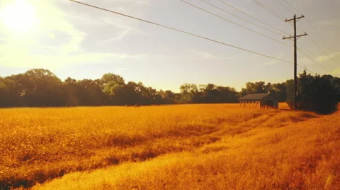 Walking along a highway in Texas Stock Footage 68503046