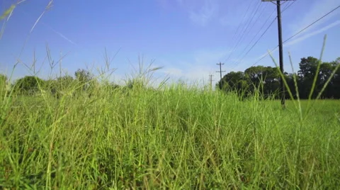 Walking along a highway in Texas Stock Footage 68503047