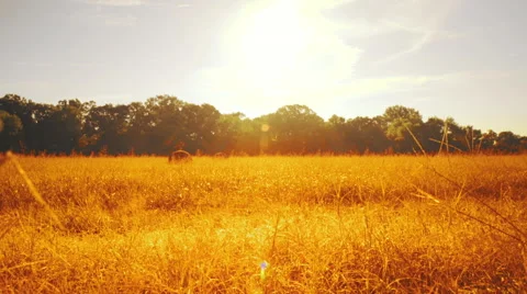 Walking along a highway in Texas Stock Footage 68503049