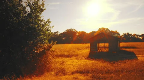 Walking along a highway in Texas Stock Footage 68503066
