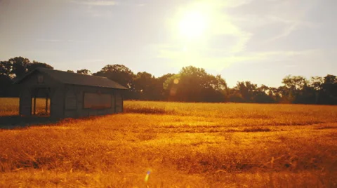 Walking along a highway in Texas Stock Footage 68503078