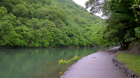 Walking Along the Hozu River Path in Arashiyama - Kyoto, Japan Stock Footage 336829131