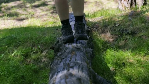 Walking along a log in the forest. Legs close up Stock Footage 153067469