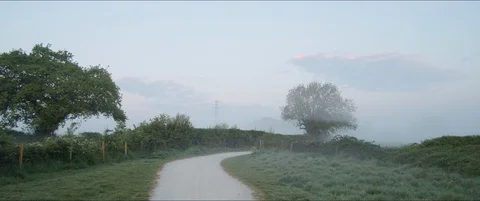 Walking Along Misty Path at Dawn Video stock 129251203