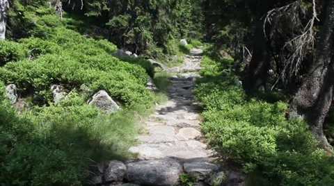 Walking along a mountain path 库存影片 33675100