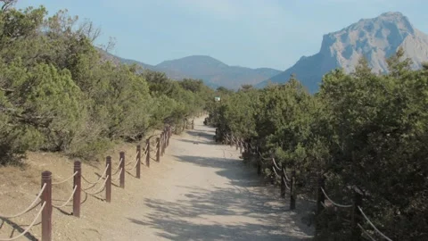 Walking along mountain path. Golitsyn trail, Crimea Video stock 167494985