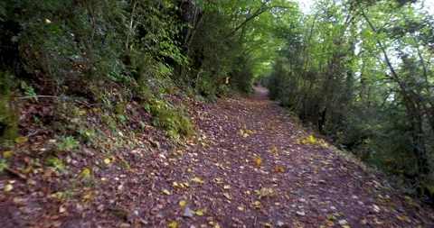 Walking along a mountain path. Subjective Vision. Time lapse. Stock Footage 274809473