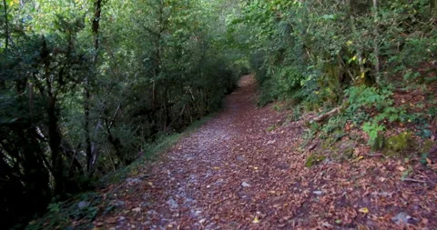 Walking along a mountain path. Subjective Vision. Stock Footage 276501080