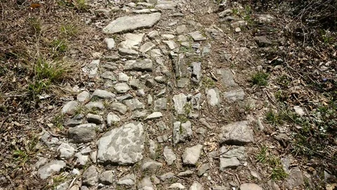 Walking along the mountain path on a sunny spring day Stock Footage 91030307