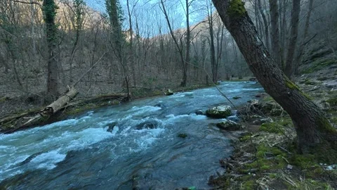 Walking Along Mountain River – Continuous POV Movement Through Forest Vídeo Stock 330952833