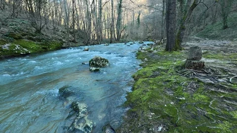 Walking Along Mountain River Then Stopping – Blue Water, Forest, Autumn Video stock 330952668