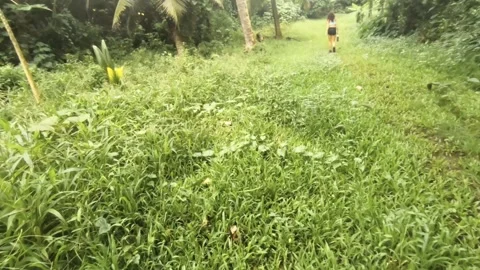 Walking along the mud primitive dirt grassland hiking trail road route in a jung Stock Footage 245441798