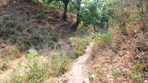 Walking along narrow path during hike in India Stock Footage 255708246