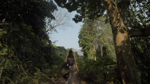 Walking Along Overgrown Jungle Path Stock Footage 303035933