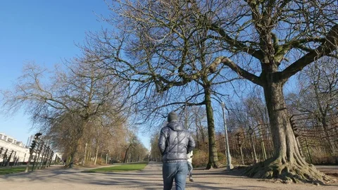 Walking Along the Park in Winter Stock Footage