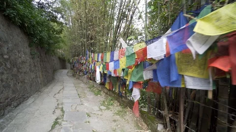 Walking along path with multi colored prayer flags and bamboo in Nepal Video stock 91135989