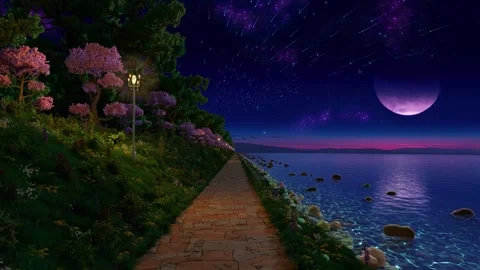 Walking along path by night sea, meteor shower in the sky Stock Footage 339035994