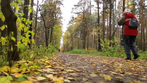 Walking along a path in park Stock Footage 102846727
