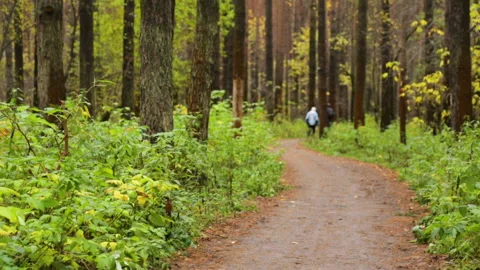 Walking along a path in park 库存影片 102847723