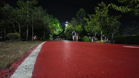 Walking along a path in the park at night Stock-Footage 310493833