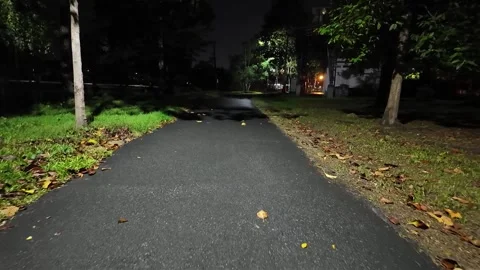 Walking along a path in the park at night Stock Footage 310493868