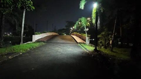 Walking along a path in the park at night Video stock 310493882