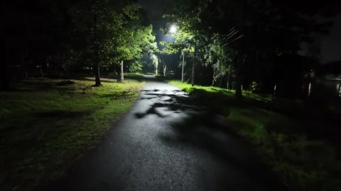 Walking along a path in the park at night Video stock 310493912