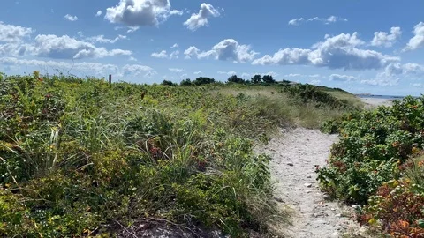 Walking along path on rocky rural coastline beach - Rhode Island New England 4K Video stock 115919863