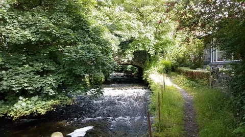 Walking Along a Path With Running Stream and Bridge Ahead Stock Footage 92634473
