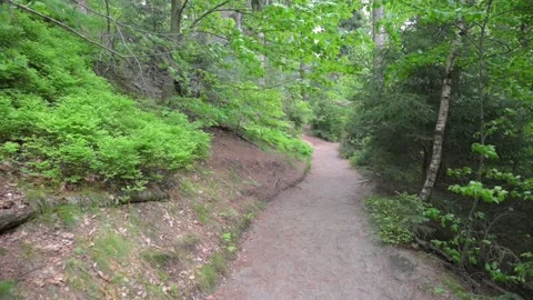 Walking along a path in the sandstone mountains of Saxon Switzerland Stock Footage 169472541