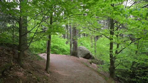 Walking along a path in the sandstone mountains of Saxon Switzerland Stock Footage 169473052