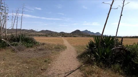 Walking along a path through a field of dry grass Stock Footage 279178371