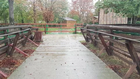Walking along path through petting zoo Stock Footage 138826257