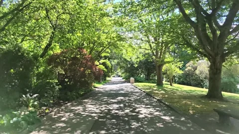 Walking along a paved path in a lush green park Stock Footage 338419055