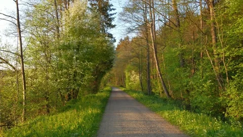 Walking Along a Peaceful Spring Path in Memmingen, Surrounded by Fields of Fr Stock Footage 309045233