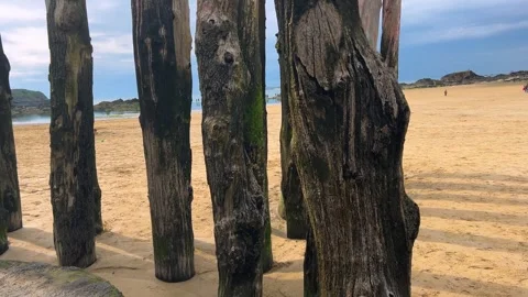 Walking along the Plage de l’Eventail sandy beach along the wooden pilings. Stock Footage 311955751