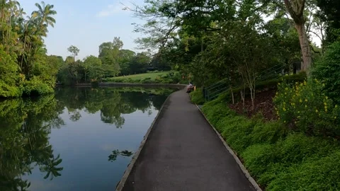 Walking along a pond Stock Footage 156306444