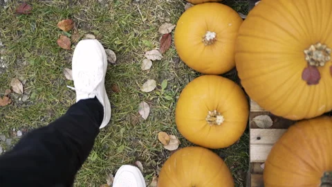 Walking along pumpkin top down view Video stock 141286409