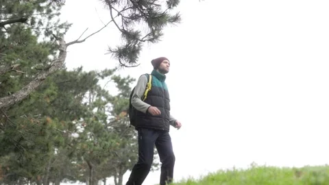 Walking along a quiet forest trail surrounded by tall pines and green grass Stock Footage 288378148